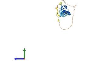 AlphaFold protein structure predicition of Human Recombinant CD72 Protein, UniprotID P21854 (CD72 Protein (AA 1-359) (His tag))
