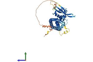 Protein Structure (PS) image for Sorting Nexin 4 (SNX4) (AA 1-450) protein (His tag) (ABIN7546191)