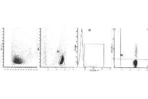 Image no. 1 for anti-Interferon gamma (IFNG) antibody (PE) (ABIN1107657) (Interferon gamma 抗体  (PE))