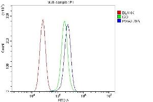 Flow Cytometry analysis of U87 cells using anti-ERp57 antibody (ABIN7602778).