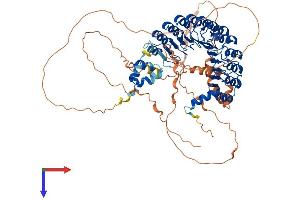 FBXL17 Protein (AA 1-701) (His tag)