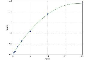 A typical standard curve (SMAD1 ELISA 试剂盒)
