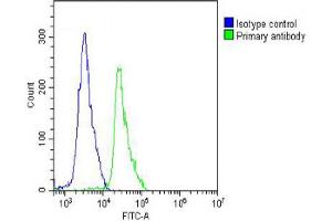 Overlay histogram showing Jurkat cells stained with Antibody (green line). (Cadherin 5 抗体  (N-Term))
