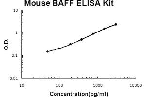 Mouse BAFF Accusignal ELISA Kit Mouse BAFF AccuSignal ELISA Kit standard curve. (BAFF ELISA 试剂盒)