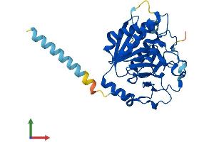 Protein Structure (PS) image for Glycosyltransferase 6 Domain Containing 1 (GLT6D1) (AA 1-311) protein (His tag) (ABIN7557006)
