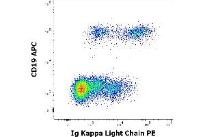 Flow cytometry multicolor surface staining of human lymphocytes stained using anti-human Ig Kappa Light Chain (TB28-2) PE antibody (10 μL reagent / 100 μL of peripheral whole blood) and anti-human CD19 (LT19) APC antibody (10 μL reagent / 100 μL of peripheral whole blood). (kappa Light Chain 抗体  (PE))
