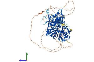 Protein Structure (PS) image for TRM1 tRNA Methyltransferase 1-Like (TRMT1L) (AA 1-733) protein (His tag) (ABIN7544806)