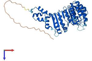 Protein Structure (PS) image for F-Box and Leucine-Rich Repeat Protein 21 (FBXL21) (AA 1-434) protein (His tag) (ABIN7564326)