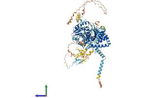 Protein Structure (PS) image for DEAD (Asp-Glu-Ala-Asp) Box Polypeptide 54 (DDX54) (AA 1-874) protein (His tag) (ABIN7559578)