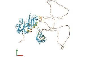 Protein Structure (PS) image for Heterogeneous Nuclear Ribonucleoprotein H1 (H) (HNRNPH1) (AA 1-449) protein (His tag) (ABIN7548348)
