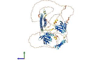 AlphaFold protein structure predicition of Human Recombinant AFAP1L1 Protein, UniprotID Q8TED9