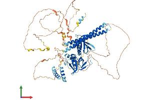 AlphaFold protein structure predicition of Human Recombinant AFAP1L1 Protein, UniprotID Q8TED9