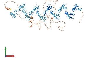 AlphaFold protein structure predicition of Human Recombinant ZNF658B Protein, UniprotID Q4V348