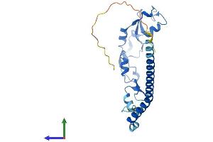 Protein Structure (PS) image for Ring Finger Protein 151 (RNF151) (AA 1-245) protein (His tag) (ABIN7551491)