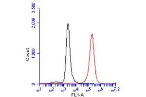 FACS Image CD81 antibody , detects CD81 protein by flow cytometry analysis. (CD81 抗体)