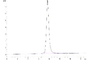The purity of Mouse IL-3 is greater than 95 % as determined by SEC-HPLC. (IL-3 Protein (AA 27-166) (Fc Tag))