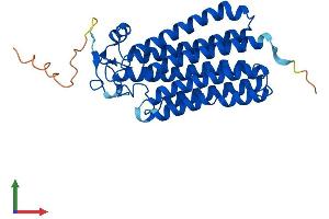 AlphaFold protein structure predicition of Human Recombinant PAQR3 Protein, UniprotID Q6TCH7