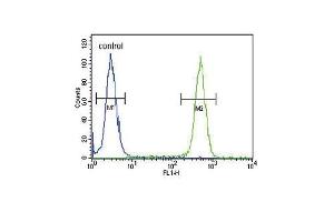 ASMT Antibody (Center) (ABIN650987 and ABIN2840024) flow cytometric analysis of 293 cells (right histogram) compared to a negative control cell (left histogram).