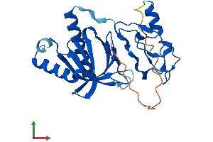Protein Structure (PS) image for Pleckstrin Homology Domain Containing, Family F (With FYVE Domain) Member 2 (PLEKHF2) (AA 1-249) protein (His tag) (ABIN7550719)