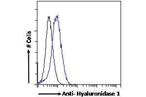 ABIN334421 Flow cytometric analysis of paraformaldehyde fixed HepG2 cells (blue line), permeabilized with 0. (HYAL1 抗体  (Internal Region))