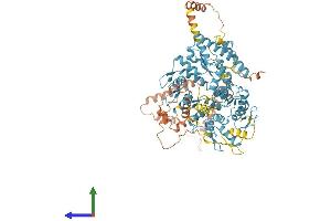 Protein Structure (PS) image for Zinc Finger Protein 560 (ZNF560) (AA 1-790) protein (His tag) (ABIN7545814)