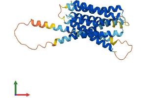 Protein Structure (PS) image for Solute Carrier Family 39 (Zinc Transporter), Member 9 (SLC39A9) (AA 1-308) protein (His tag) (ABIN7558498)