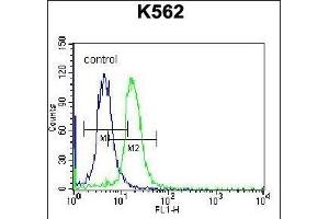 Flow Cytometry (FACS) image for anti-StAR-Related Lipid Transfer (START) Domain Containing 5 (STARD5) (AA 26-55), (N-Term) antibody (ABIN656750)