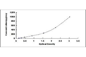Typical standard curve (RSPO1 ELISA 试剂盒)
