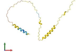 AlphaFold protein structure predicition of Mouse Recombinant Bex4 Protein, UniprotID Q9CWT2