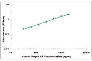 Representative Standard Curve (SERPINA7 ELISA 试剂盒)