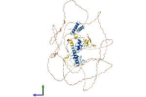 AlphaFold protein structure predicition of Mouse Recombinant Lin54 Protein, UniprotID Q571G4