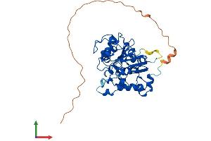 Protein Structure (PS) image for ST6 (Alpha-N-Acetyl-Neuraminyl-2,3-beta-Galactosyl-1,3)-N-Acetylgalactosaminide alpha-2,6-Sialyltransferase 2 (ST6GALNAC2) (AA 1-373) protein (His tag) (ABIN7556683)