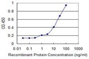 Detection limit for recombinant GST tagged FMNL1 is 0. (Formin-Like 1 抗体  (AA 893-991))