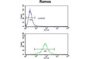 Flow Cytometry (FACS) image for anti-6-phosphogluconolactonase (PGLS) antibody (ABIN3001729) (PGLS 抗体)