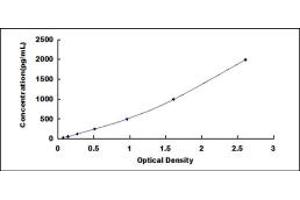 Typical standard curve (Laminin beta 1 ELISA 试剂盒)