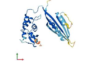 Protein Structure (PS) image for Potassium Channel Tetramerisation Domain Containing 6 (KCTD6) (AA 1-237) protein (His tag) (ABIN7558784)