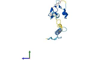 Protein Structure (PS) image for Nanos Homolog 2 (NANOS2) (AA 1-138) protein (His tag) (ABIN7549624)
