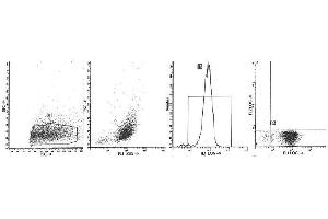 Image no. 1 for anti-Integrin, alpha E (Antigen CD103, Human Mucosal Lymphocyte Antigen 1, alpha Polypeptide) (ITGAE) antibody (PerCP-Cy5.5) (ABIN1105732)