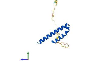 Protein Structure (PS) image for Cyclin-Dependent Kinase 2 Associated Protein 1 (CDK2AP1) (AA 1-114) protein (His tag) (ABIN7562281)