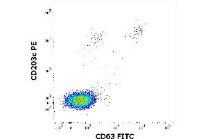 Flow cytometry dot-plot staining pattern of rMal d 1 recombinant allergen stimulated human peripheral whole blood lymphocytes and basophils of a proven allergic donor stained using anti-human CD63 (MEM-259) FITC and anti-human CD203c (NP4D6) PE antibodies . (Major Allergen Mal D 1 Protein (LOC100812065))