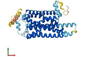 AlphaFold protein structure predicition of Human Recombinant TAAR2 Protein, UniprotID Q9P1P5