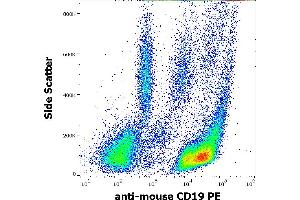 Flow cytometry surface staining pattern of murine peritoneal fluid cells stained using anti-mouse CD19 (1D3) PE antibody (concentration in sample 1 μg/mL). (CD19 抗体  (PE))