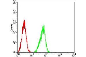 Flow cytometric analysis of Hela cells using SP10 mouse mAb (green) and negative control (red). (ACRV1 抗体  (AA 22-265))