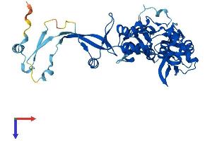 DSCC1 Protein (AA 1-399) (His tag)