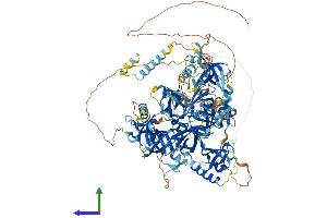 Protein Structure (PS) image for Tudor Domain Containing 1 (TDRD1) (AA 1-1172) protein (His tag) (ABIN7564908)