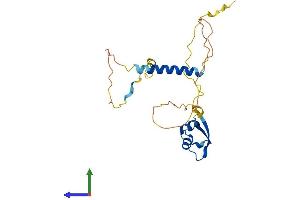 AlphaFold protein structure predicition of Mouse Recombinant Lysmd1 Protein, UniprotID Q9D0E3 (LYSMD1 Protein (AA 1-226) (His tag))
