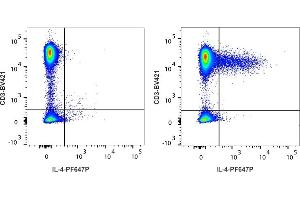Detection of IL-4 by flow cytometry in viable human lymphocytes. (IL-4 抗体  (PromoFluor 647 Premium))