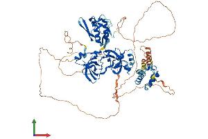 Protein Structure (PS) image for Sex Comb On Midleg Homolog 1 (SCMH1) (AA 1-706) protein (His tag) (ABIN7559487)