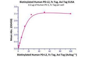 Binding Studies (Bind) image for Programmed Cell Death 1 Ligand 2 (PDCD1LG2) (AA 20-219) (Active) protein (Fc Tag,AVI tag,Biotin) (ABIN2870562)