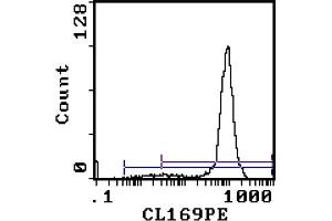 Flow Cytometry Analysis - Cell Source: Thymus Percentage of cells stained above control: 93. (CD8 抗体  (PE))
